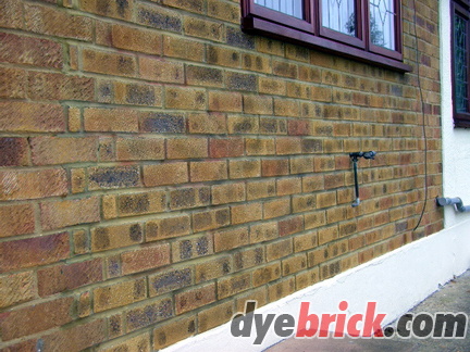 Brick Tinting complete 2